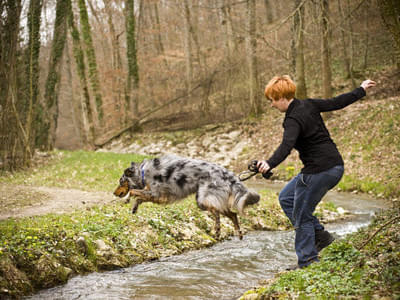 Renate & Buffalo Bild 10